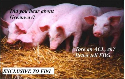 FBG_PIG_EXCLUS.jpg