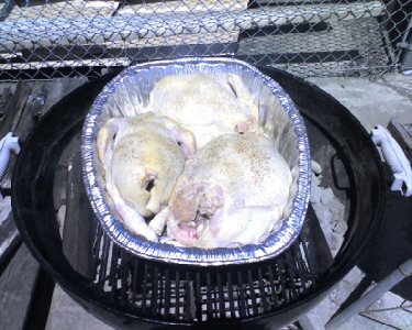 3chickens_start1.jpg