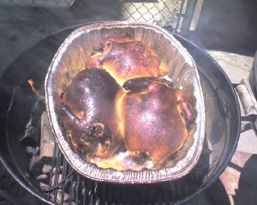 3chickens_2hours.jpg