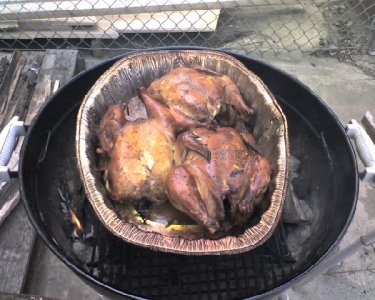 3chickens_3hours.jpg