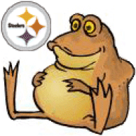 Camel Toad