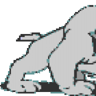dapap53