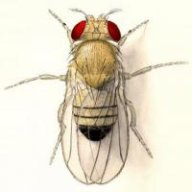 Richc111