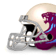 MichiganPanthers