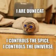 dunecats