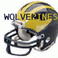 Wolverines