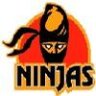 Nitty Ninjas