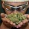 KushMaster