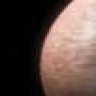 shorn
