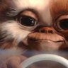 Gizmo
