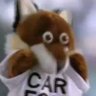 Car Fox