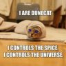 dunecats