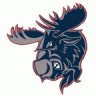 Moose Fantasy Inc.