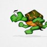 Turtle_Sports