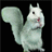 Squirrels