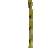 the_taint