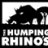 Humping Rhino