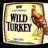 Wild Turkies