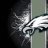 EaglesNest