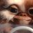 Gizmo