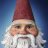 Roaming Gnome