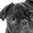 PugMac