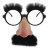 Groucho Glasses