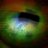 CYAgent