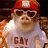 Oink Oink the Pig