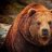 The Grizz