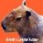 Capybara