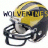 Wolverines