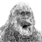 Sasquatch
