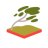 bonsai