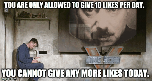 zf17f.jpg