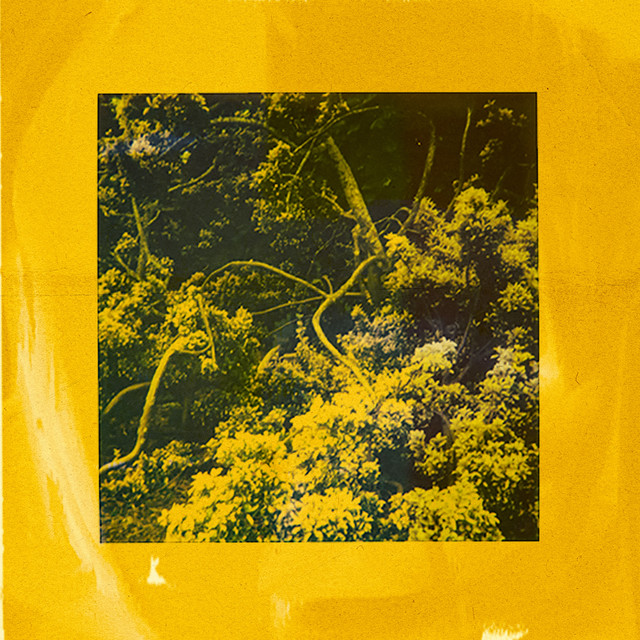 open.spotify.com