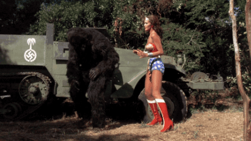 tumblr_n8m8j3C6ri1s2wio8o1_500.gif