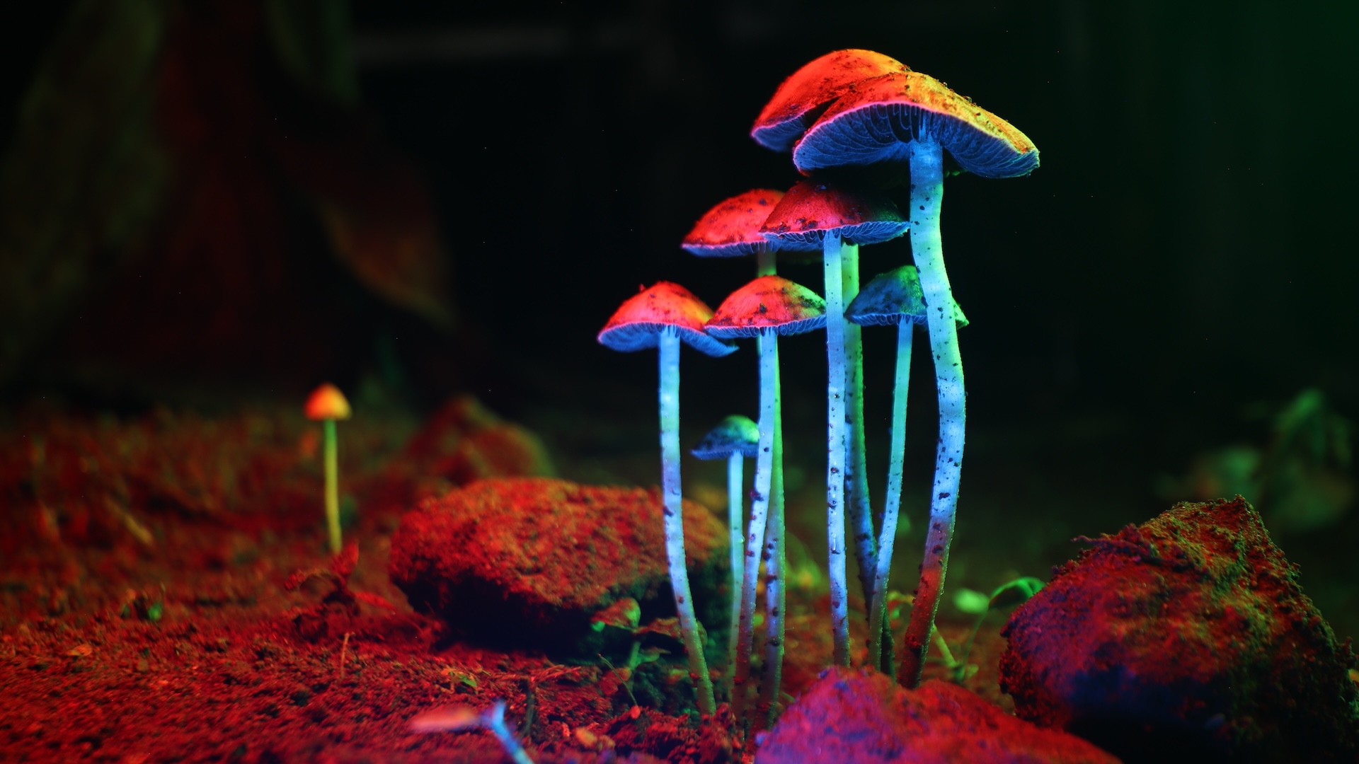 www.livescience.com