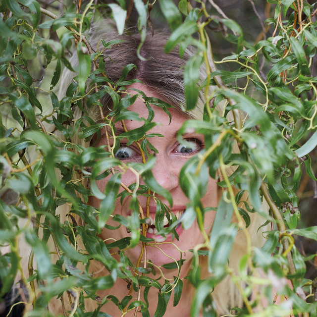 open.spotify.com