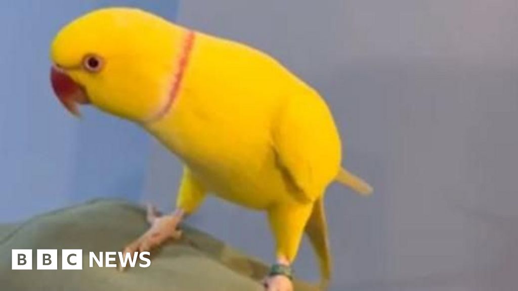 www.bbc.com