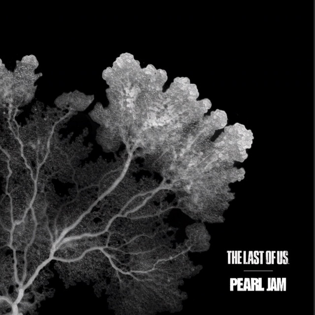 open.spotify.com