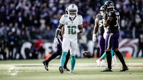 dolphinstalk.com