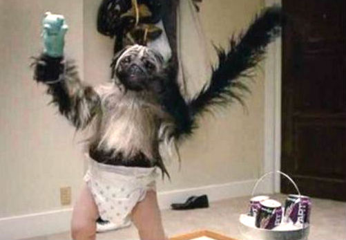 puppy-monkey-babyjpg-d1cde07fec572842.jpg