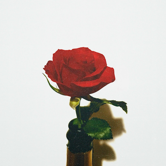 open.spotify.com