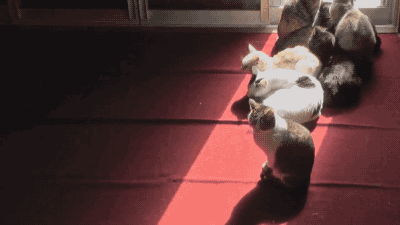 WCo9m1i.gif