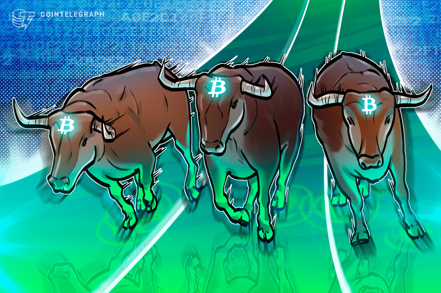 cointelegraph.com